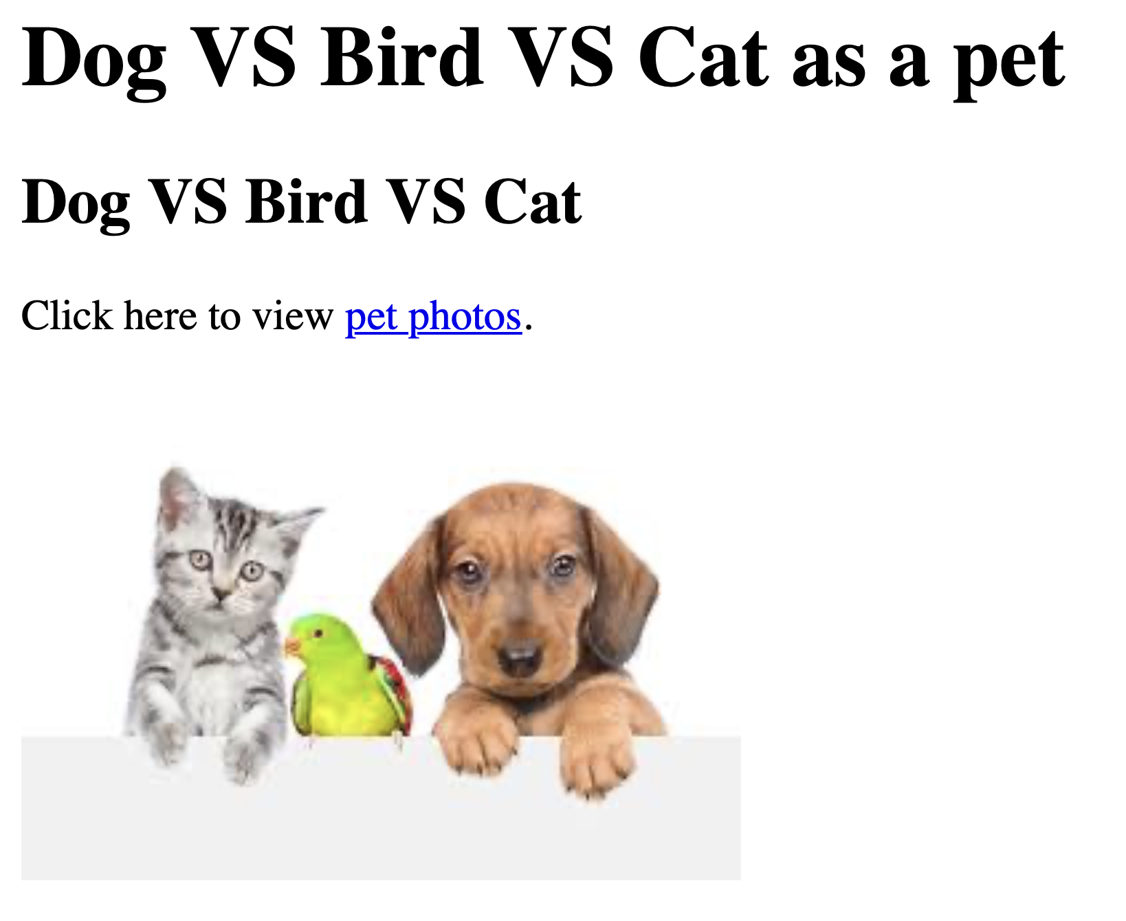 PET-WEBSITE
